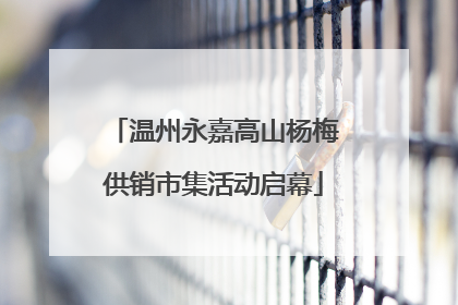 温州永嘉高山杨梅供销市集活动启幕