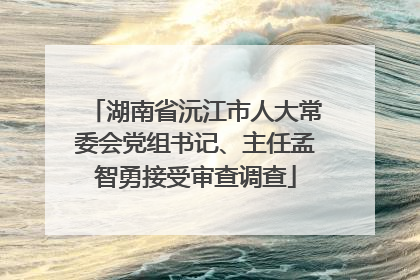 湖南省沅江市人大常委会党组书记、主任孟智勇接受审查调查