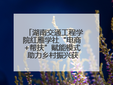 湖南交通工程学院红雁学社“电商+帮扶”赋能模式 助力乡村振兴获帮扶乡镇好评