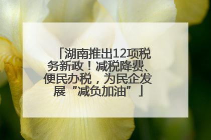 湖南推出12项税务新政！减税降费、便民办税，为民企发展“减负加油”