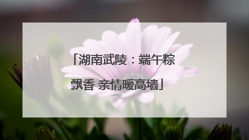 湖南武陵：端午粽飘香 亲情暖高墙