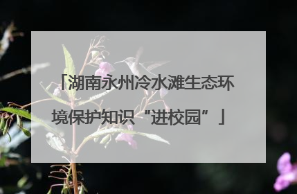 湖南永州冷水滩生态环境保护知识“进校园”
