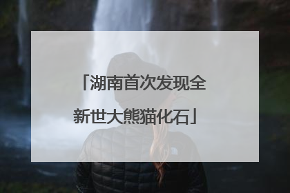 湖南首次发现全新世大熊猫化石