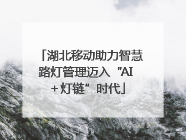 湖北移动助力智慧路灯管理迈入“AI＋灯链”时代