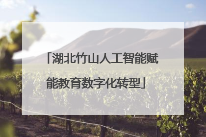 湖北竹山人工智能赋能教育数字化转型