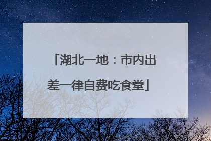 湖北一地：市内出差一律自费吃食堂