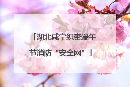 湖北咸宁织密端午节消防“安全网”