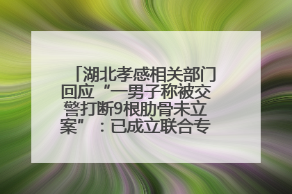 湖北孝感相关部门回应“一男子称被交警打断9根肋骨未立案”：已成立联合专班开展工作