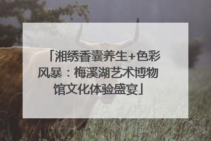 湘绣香囊养生+色彩风暴：梅溪湖艺术博物馆文化体验盛宴