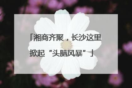 湘商齐聚，长沙这里掀起“头脑风暴”