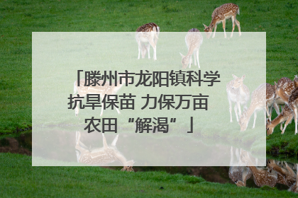 滕州市龙阳镇科学抗旱保苗 力保万亩农田“解渴”