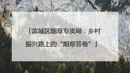 滨城区烟草专卖局：乡村振兴路上的“烟草答卷”