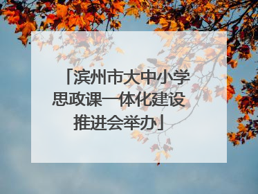 滨州市大中小学思政课一体化建设推进会举办