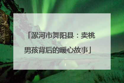 漯河市舞阳县：卖桃男孩背后的暖心故事