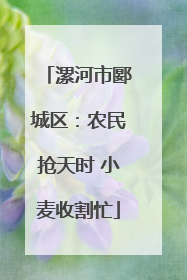 漯河市郾城区：农民抢天时 小麦收割忙