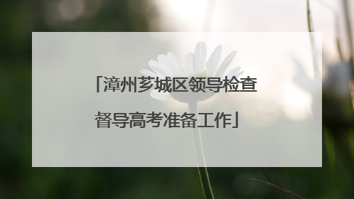 漳州芗城区领导检查督导高考准备工作