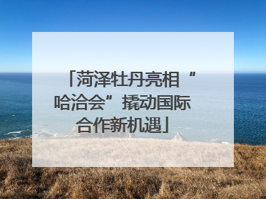 菏泽牡丹亮相“哈洽会”撬动国际合作新机遇