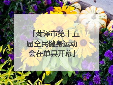 菏泽市第十五届全民健身运动会在单县开幕