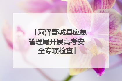 菏泽鄄城县应急管理局开展高考安全专项检查