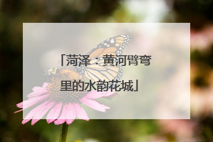 菏泽：黄河臂弯里的水韵花城