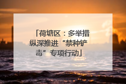 荷塘区：多举措纵深推进“禁种铲毒”专项行动