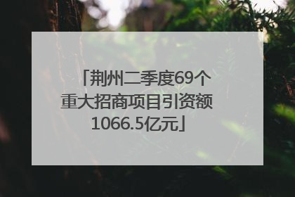 荆州二季度69个重大招商项目引资额1066.5亿元