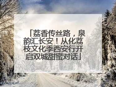 荔香传丝路，泉韵汇长安！从化荔枝文化季西安行开启双城甜蜜对话