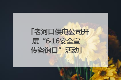 老河口供电公司开展“6·16安全宣传咨询日”活动