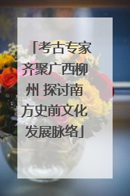 考古专家齐聚广西柳州 探讨南方史前文化发展脉络