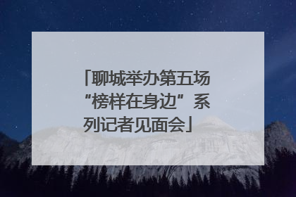 聊城举办第五场“榜样在身边”系列记者见面会