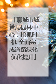 聊城市城管局园林中心：抢抓时机 全面完成道路绿化优化提升