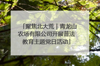 聚焦北大荒｜青龙山农场有限公司开展普法教育主题党日活动