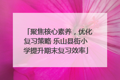 聚焦核心素养，优化复习策略 乐山县街小学提升期末复习效率