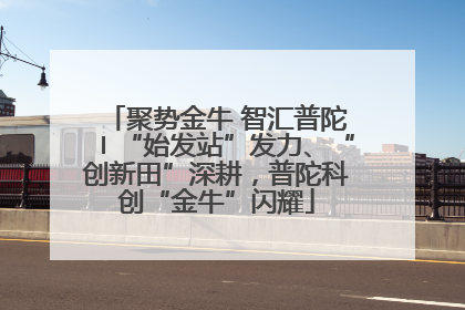 聚势金牛 智汇普陀〡“始发站”发力、“创新田”深耕，普陀科创“金牛”闪耀