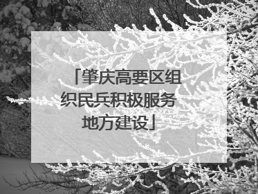 肇庆高要区组织民兵积极服务地方建设
