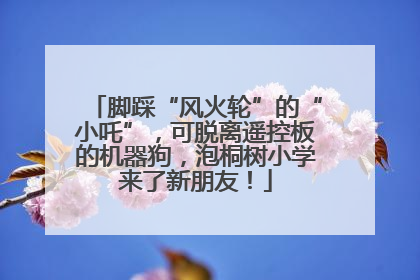 脚踩“风火轮”的“小吒”，可脱离遥控板的机器狗，泡桐树小学来了新朋友！