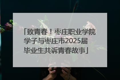 致青春！枣庄职业学院学子与枣庄市2025届毕业生共诉青春故事