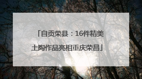 自贡荣县：16件精美土陶作品亮相重庆荣昌