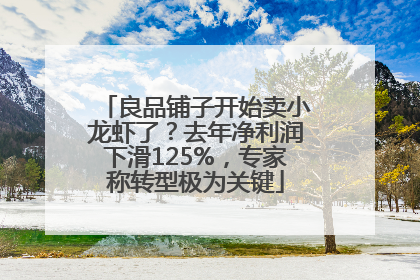 良品铺子开始卖小龙虾了？去年净利润下滑125%，专家称转型极为关键
