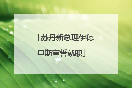 苏丹新总理伊德里斯宣誓就职