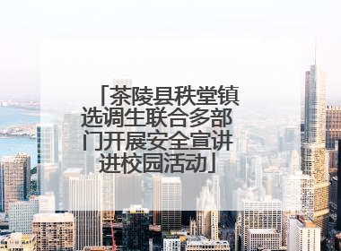 茶陵县秩堂镇选调生联合多部门开展安全宣讲进校园活动