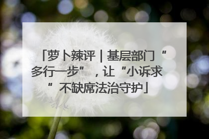 萝卜辣评｜基层部门“多行一步”，让“小诉求”不缺席法治守护