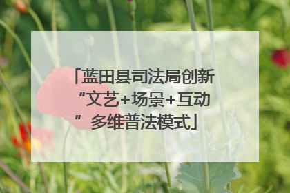 蓝田县司法局创新“文艺+场景+互动”多维普法模式
