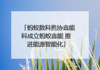 蚂蚁数科携协鑫能科成立蚂蚁鑫能 推进能源智能化