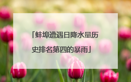 蚌埠遭遇日降水量历史排名第四的暴雨