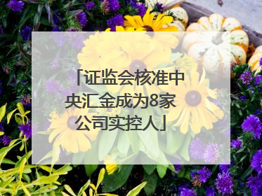 证监会核准中央汇金成为8家公司实控人