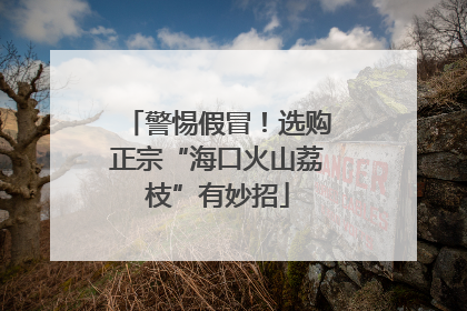 警惕假冒！选购正宗“海口火山荔枝”有妙招