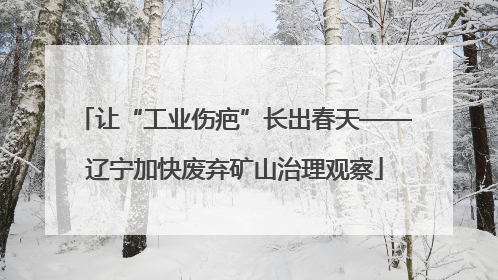 让“工业伤疤”长出春天——辽宁加快废弃矿山治理观察