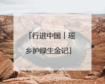 行进中国丨瑶乡护绿生金记