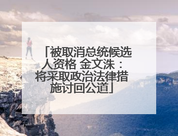 被取消总统候选人资格 金文洙：将采取政治法律措施讨回公道